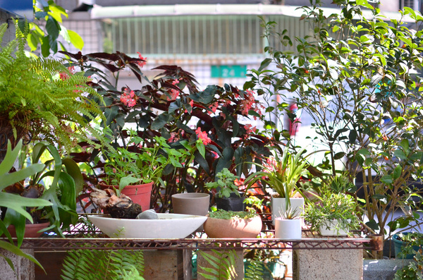 hi 日楞 RYOU CAFE:『台北||古亭』天然小農食材,轉角遇見的悠閒-hi, 日楞 Ryou Caf'e