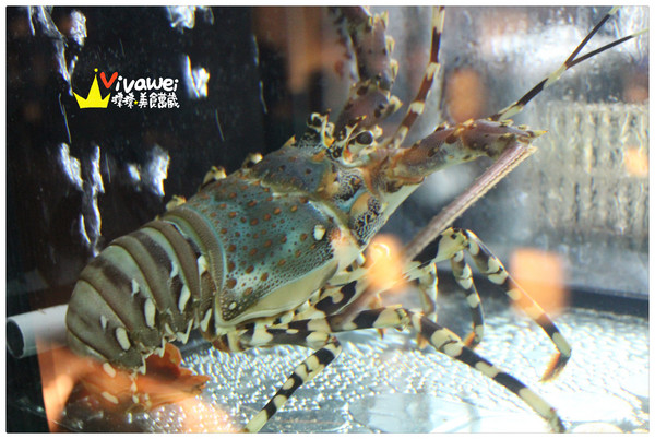 這一鍋：台北中山｜85度c單點式高質感火鍋專賣『這一鍋皇室秘藏鍋物』