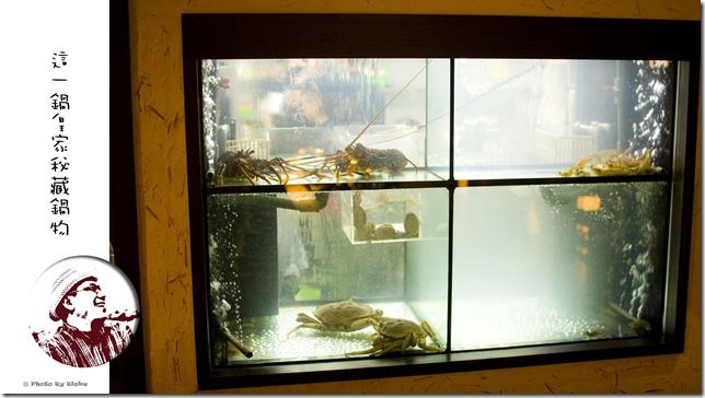 這一鍋-鮮跳活蝦