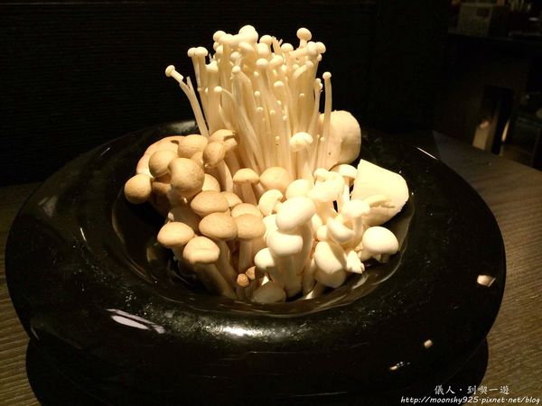 1397210_842016959239945_4724376964813963730_o_副本