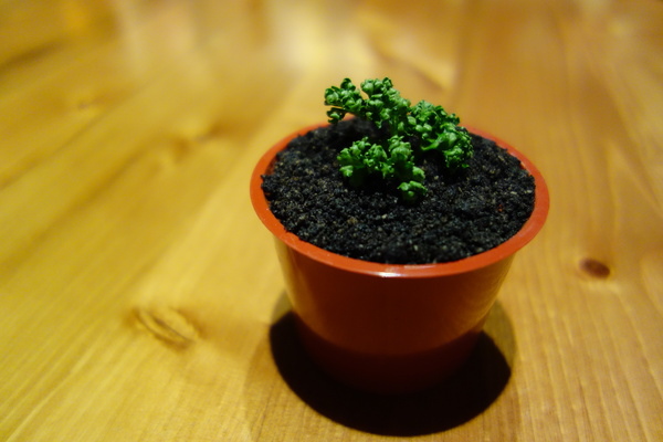 蓮香齋:蓮香齋+素食吃到飽+高檔+包場+有氣氛+南京東路+台北美食+乳酪起司+貝殼麵+涼麵+大阪燒+擔仔麵+盆栽甜點+傳統料理+聚會+巧克力鍋