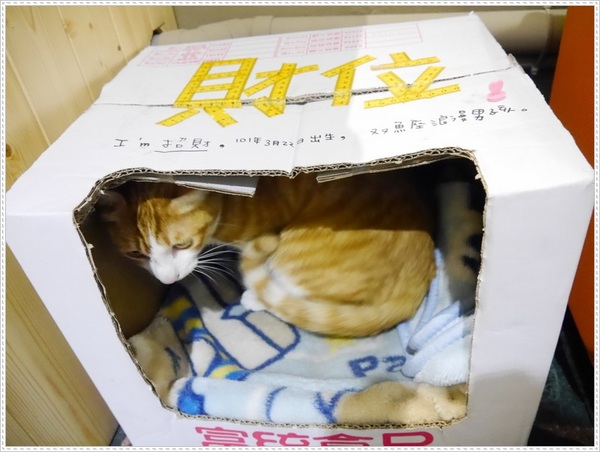 青鳥家：【桃園】青鳥家－被抹茶紅豆派融化了❤❤❤❤❤