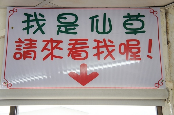 關西仙草巷:新竹關西半日遊 ☞ 第二站【關西仙草巷】❤