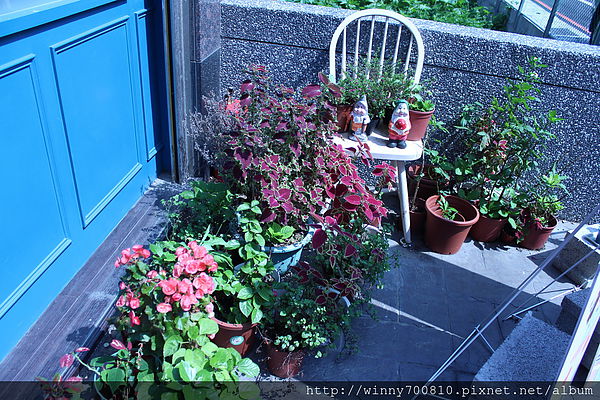 Hana(中壢店): 桃園/中壢【下午茶朝聖名店!】Hana(中壢店)