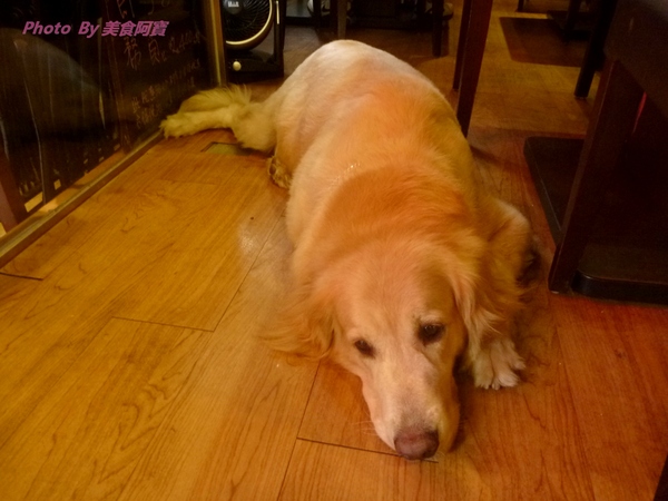 蒙古紅蒙古火鍋：【台北市】香氣十足蒙古火鍋-蒙古紅