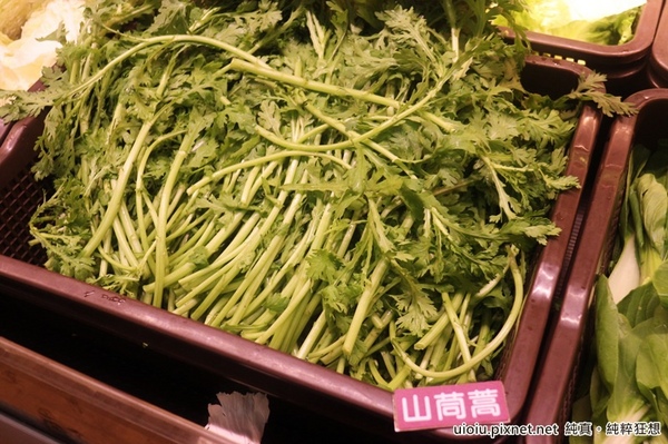 蒙古紅蒙古火鍋:【台北捷運美食。國父紀念館站】蒙古紅蒙古麻辣鍋吃到飽~食材嚴選,大推霜降牛肉.安格斯牛肩.羊培根.松阪豬.鮮蚵