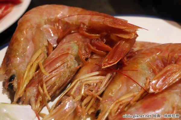 蒙古紅蒙古火鍋:【台北捷運美食。國父紀念館站】蒙古紅蒙古麻辣鍋吃到飽~食材嚴選,大推霜降牛肉.安格斯牛肩.羊培根.松阪豬.鮮蚵