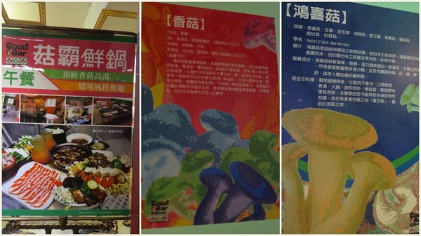 大黑松小倆口元首館：充滿歐風城堡風情的【埔里元首館/大黑松小倆口】