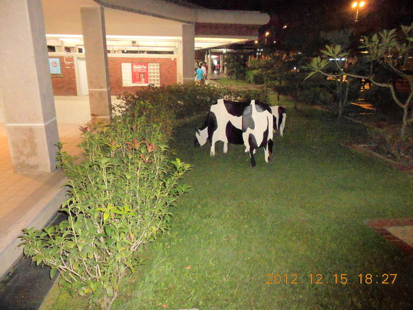 大黑松小倆口元首館：好大的西洋棋！