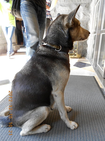 大黑松小倆口元首館：好大的西洋棋！