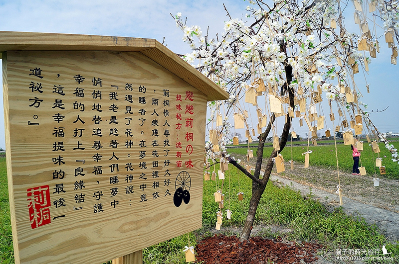 雲林縣莿桐鄉_2015莿桐花海戀戀雲林北海道