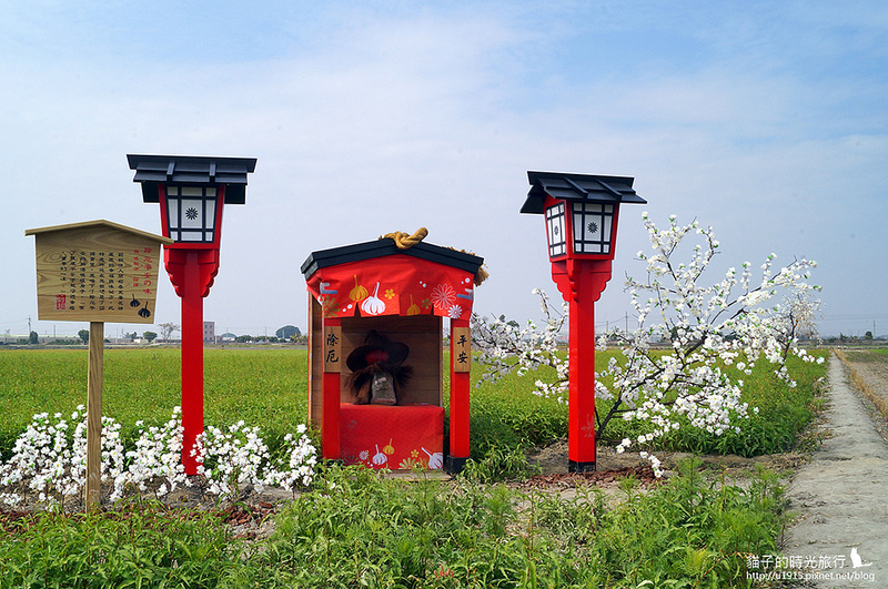 雲林縣莿桐鄉_2015莿桐花海戀戀雲林北海道