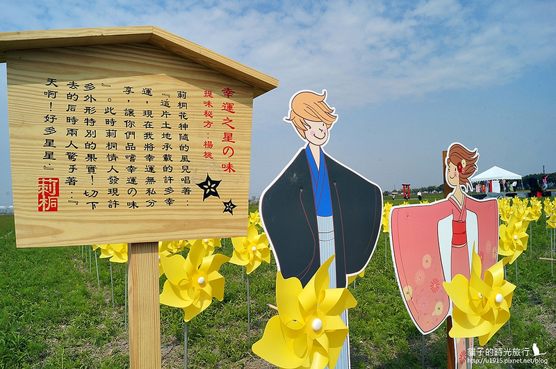 雲林縣莿桐鄉_2015莿桐花海戀戀雲林北海道