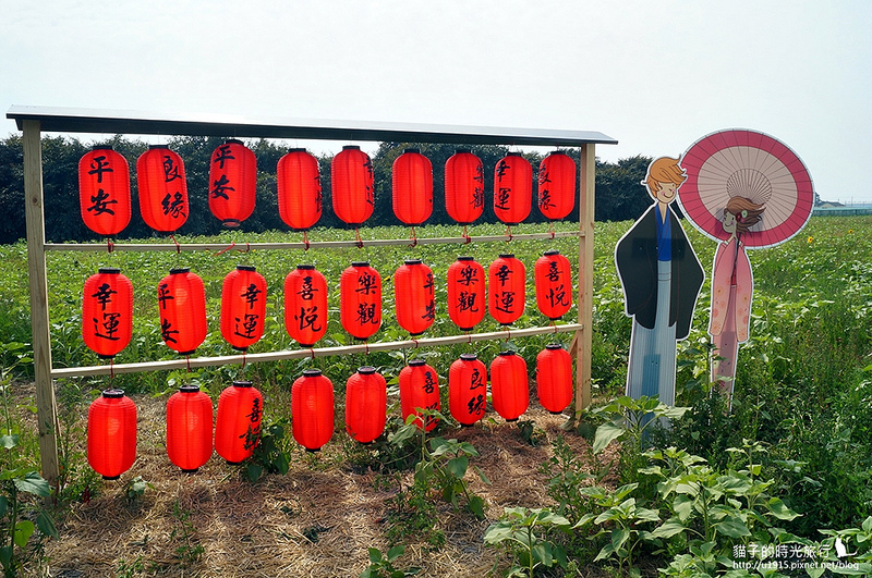 雲林縣莿桐鄉_2015莿桐花海戀戀雲林北海道