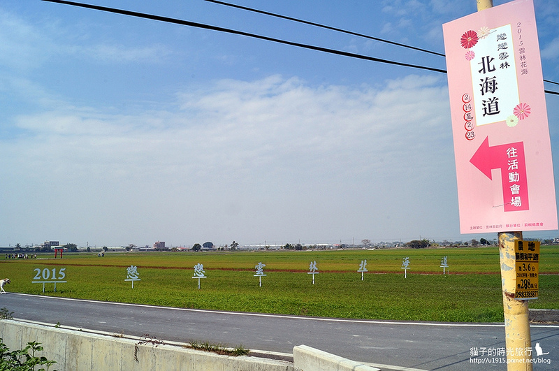 雲林縣莿桐鄉_2015莿桐花海戀戀雲林北海道