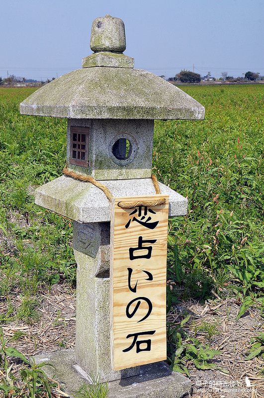 雲林縣莿桐鄉_2015莿桐花海戀戀雲林北海道