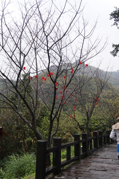 黃金博物館：新北市 黃金博物館~浴衣體驗、紅燈籠高掛、摸億萬元金磚
