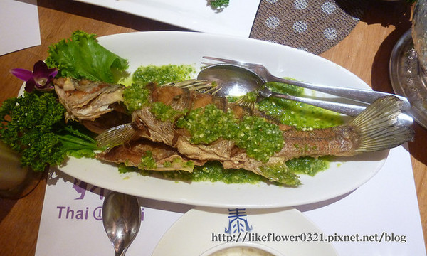 泰一泰雲城泰式料理:【台中西屯區】柏地廣場美味泰式料理,紀錄幸福的一餐-泰一泰雲城泰式料理(台中店)