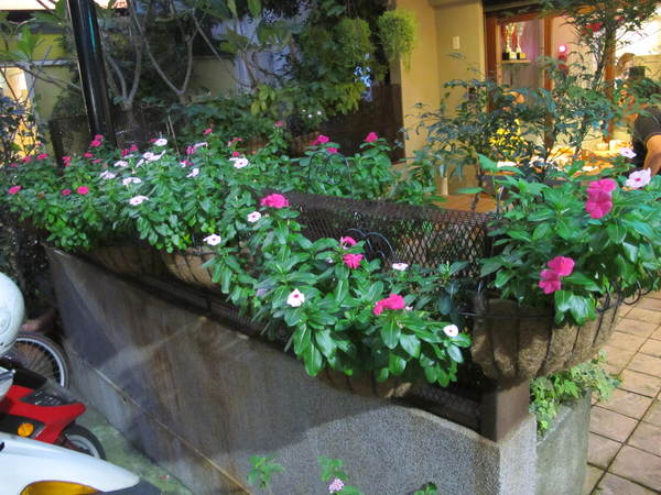 Pizzeria Oggi(敦南店)：(胖樺食記)台北市敦化南路Pizzeria Oggi二訪。正港義大利披薩餅皮薄脆Q彈。當月壽星贈送披薩一枚。