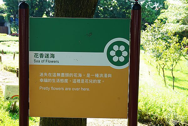 就是愛荔枝樂園(Alice’s Garden)：※ 就是愛荔枝樂園(環境篇) ※【星羽愛玩樂-彰化】小朋友的童話天堂，大草原遊樂設施玩水趣，很適合開心遛小孩~