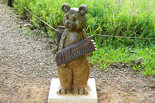 就是愛荔枝樂園(Alice’s Garden)：※ 就是愛荔枝樂園(環境篇) ※【星羽愛玩樂-彰化】小朋友的童話天堂，大草原遊樂設施玩水趣，很適合開心遛小孩~