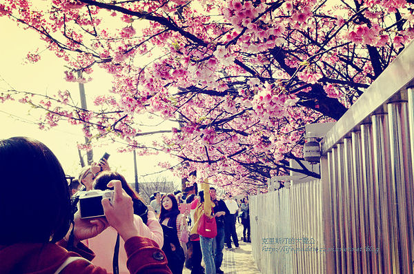 平菁街 083_副本.jpg