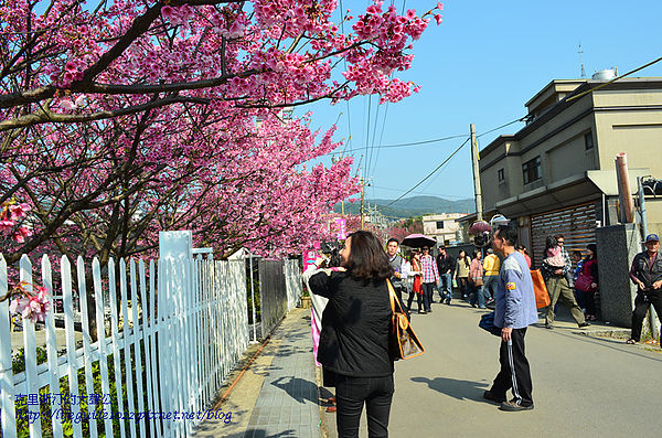 平菁街 067_副本.jpg