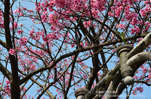 平菁街 025_副本.jpg