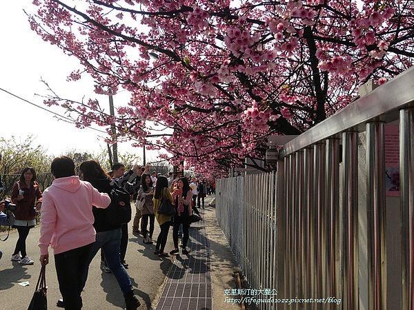 平菁街 124_副本.jpg