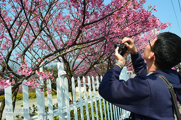 平菁街 060_副本.jpg