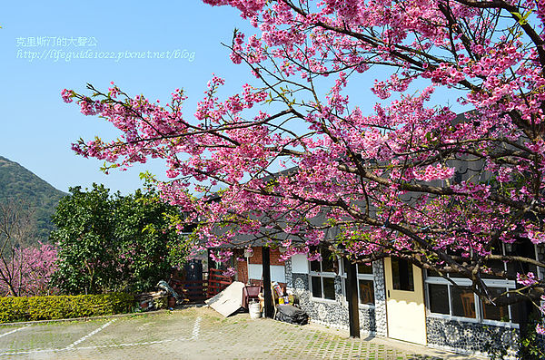 平菁街 050_副本.jpg