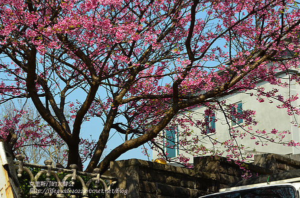 平菁街 028_副本.jpg