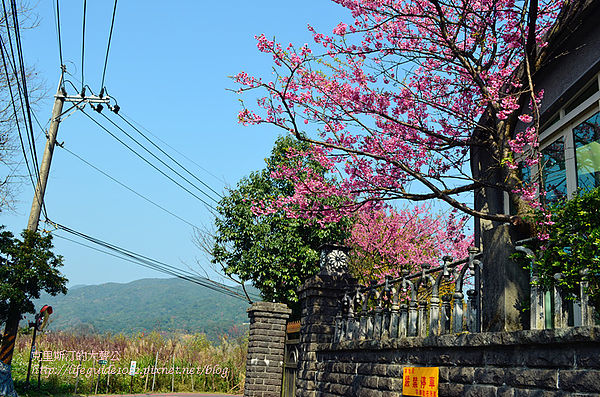 平菁街 019_副本.jpg