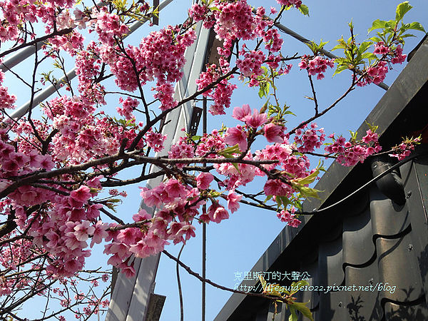 平菁街 122_副本.jpg