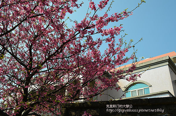 平菁街 045_副本.jpg