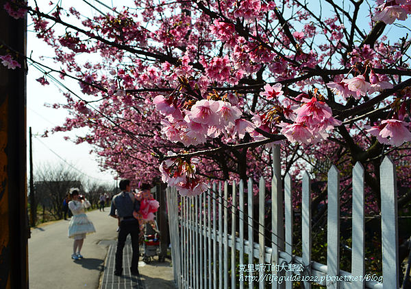 平菁街 054_副本.jpg