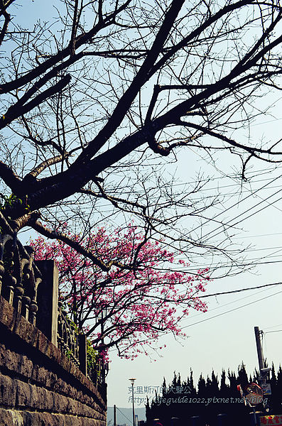 平菁街 022_副本.jpg