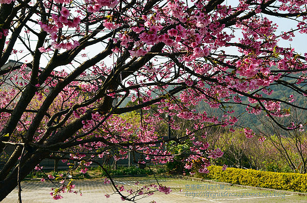 平菁街 077_副本.jpg