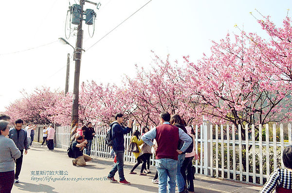 平菁街 085_副本.jpg