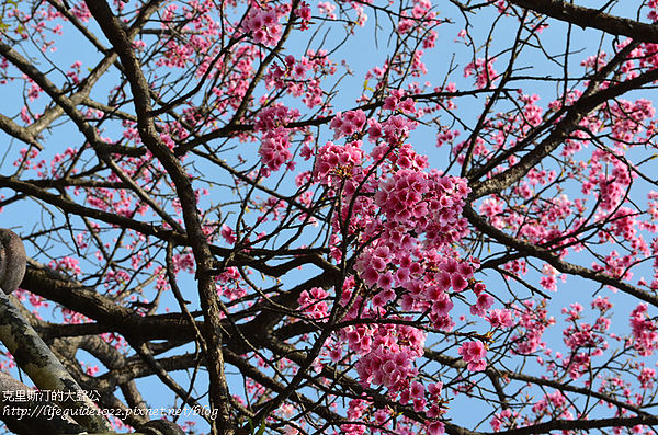 平菁街 024_副本.jpg