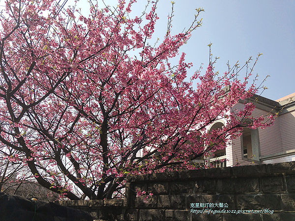 平菁街 107_副本.jpg