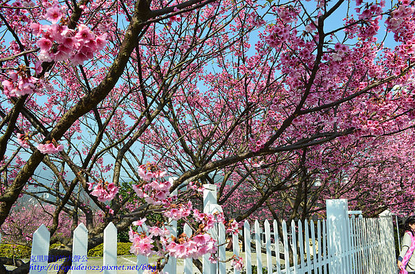 平菁街 058_副本.jpg