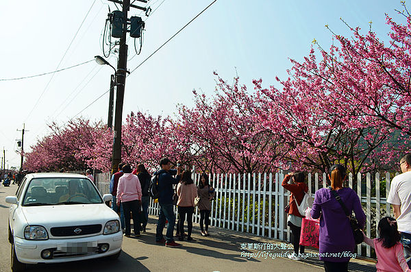 平菁街 086_副本.jpg