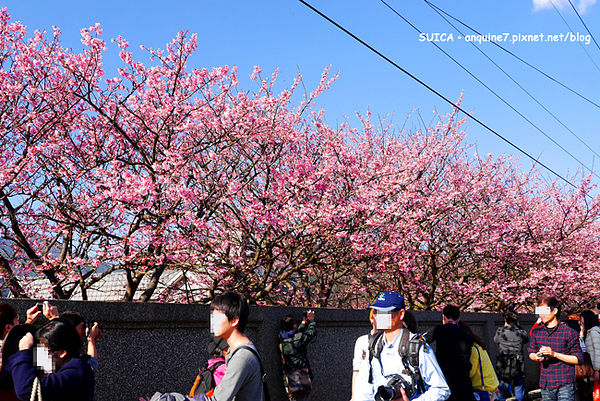 P1080824拷貝拷貝