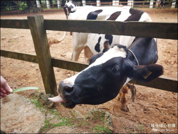桃園味全埔心牧場P1550220_調整大小1.JPG