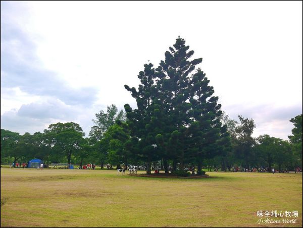 桃園味全埔心牧場P1550180_調整大小1.JPG