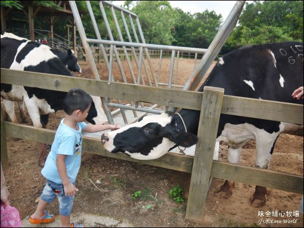桃園味全埔心牧場P1550294_調整大小1.JPG