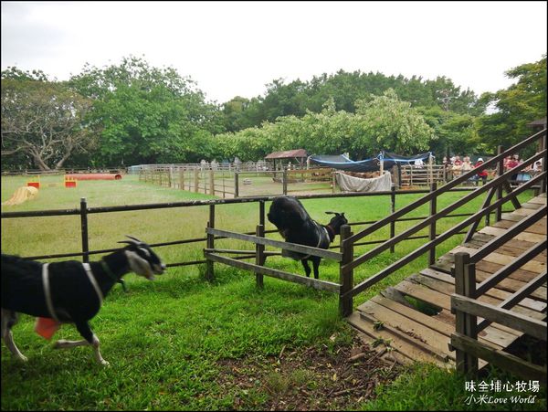 桃園味全埔心牧場P1550269_調整大小1.JPG