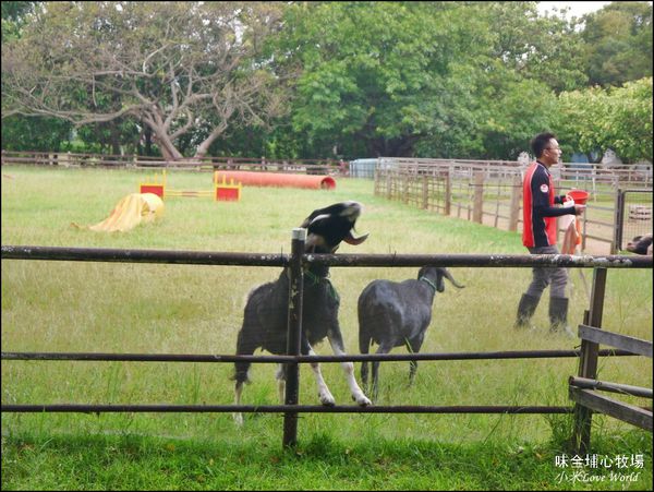 桃園味全埔心牧場P1550282_調整大小1.JPG