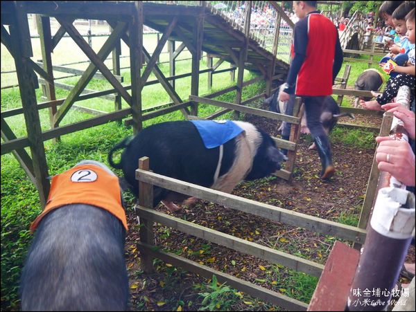 桃園味全埔心牧場P1550251_調整大小1.JPG